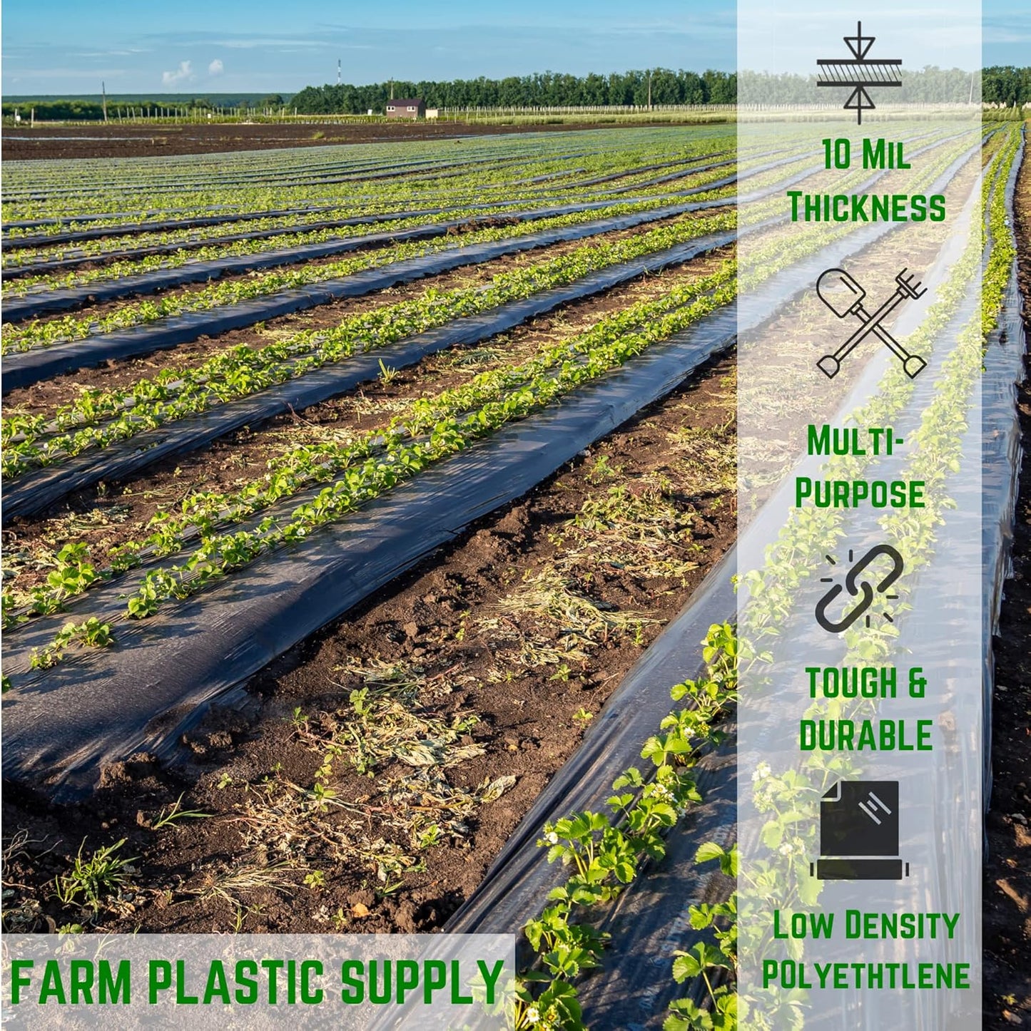 Farm Plastic Supply - Black Plastic Sheeting - 10 mil - (10' x 100') - Black Plastic Tarp, Polyethylene Vapor Barrier Plastic Sheeting, Construction Plastic, Black Painters Tarp, Heavy Duty Plastic