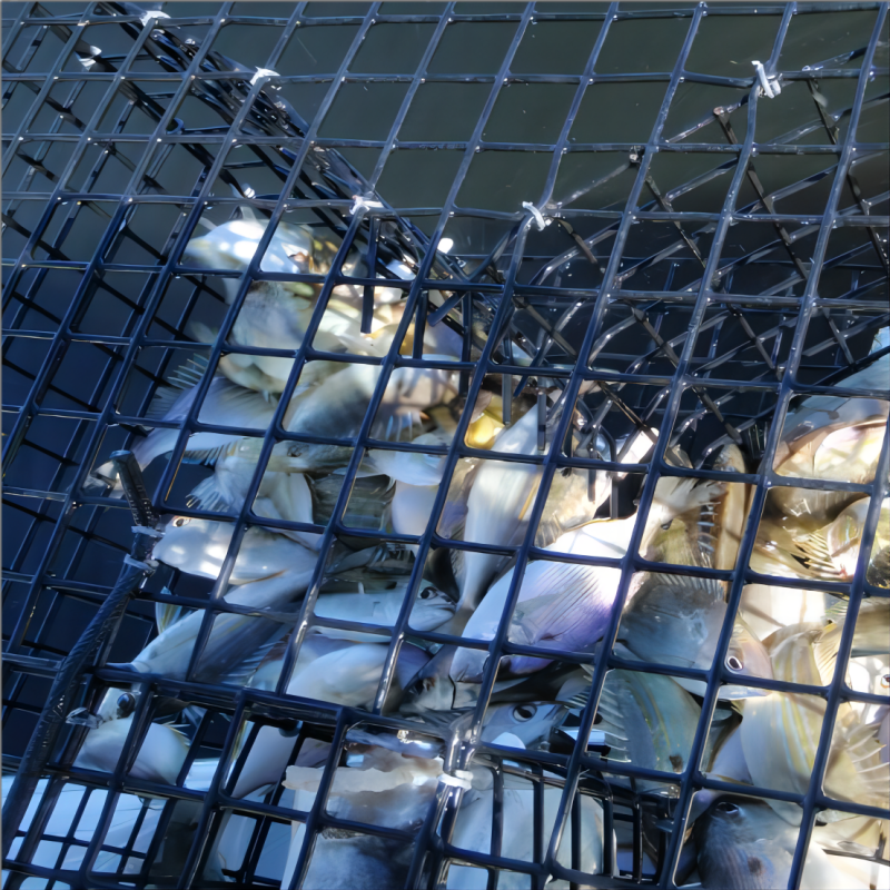Super Tarps Welded Wire Mesh – Heavy Duty Galvanized Steel Mesh for Fencing & Construction